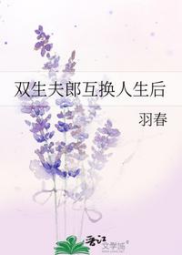双生夫郎互换人生后